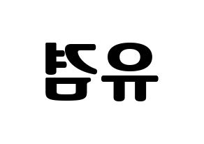 KPOP GOT7(갓세븐、ガットセブン) 유겸  (ユギョム) コンサート用　応援ボード・うちわ　韓国語/ハングル文字型紙 左右反転