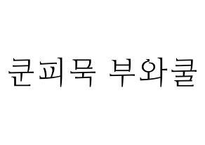 KPOP GOT7(갓세븐、ガットセブン) 뱀뱀 (ベンベン) 応援ボード・うちわ　韓国語/ハングル文字型紙 通常