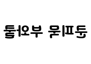KPOP GOT7(갓세븐、ガットセブン) 뱀뱀 (ベンベン) 応援ボード・うちわ　韓国語/ハングル文字型紙 左右反転