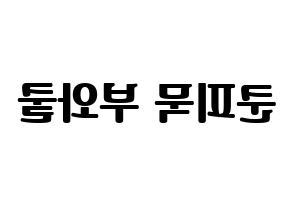 KPOP GOT7(갓세븐、ガットセブン) 뱀뱀 (ベンベン) コンサート用　応援ボード・うちわ　韓国語/ハングル文字型紙 左右反転