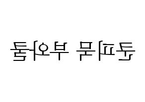 KPOP GOT7(갓세븐、ガットセブン) 뱀뱀 (ベンベン) 応援ボード・うちわ　韓国語/ハングル文字型紙 左右反転