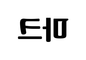 KPOP GOT7(갓세븐、ガットセブン) 마크 (マーク) コンサート用　応援ボード・うちわ　韓国語/ハングル文字型紙 左右反転