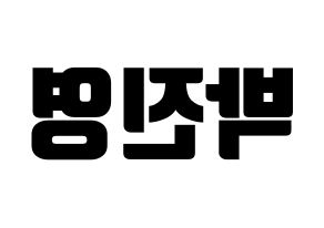 KPOP GOT7(갓세븐、ガットセブン) 진영 (ジニョン) コンサート用　応援ボード・うちわ　韓国語/ハングル文字型紙 左右反転