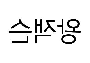 KPOP GOT7(갓세븐、ガットセブン) 잭슨 (ジャクソン) コンサート用　応援ボード・うちわ　韓国語/ハングル文字型紙 左右反転