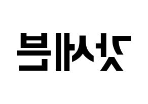 KPOP GOT7(갓세븐、ガットセブン) k-pop ファンサ ボード 型紙 左右反転