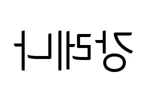 KPOP GWSN(공원소녀、公園少女) 레나 (レナ) コンサート用　応援ボード・うちわ　韓国語/ハングル文字型紙 左右反転