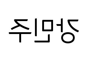 KPOP GWSN(공원소녀、公園少女) 민주 (ミンジュ) コンサート用　応援ボード・うちわ　韓国語/ハングル文字型紙 左右反転
