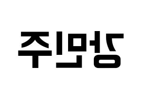 KPOP GWSN(공원소녀、公園少女) 민주 (ミンジュ) k-pop アイドル名前 ファンサボード 型紙 左右反転