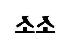 KPOP GWSN(공원소녀、公園少女) 소소 (ソソ) コンサート用　応援ボード・うちわ　韓国語/ハングル文字型紙 左右反転