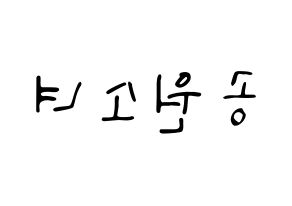 KPOP GWSN(공원소녀、公園少女) 応援ボード ハングル 型紙  左右反転
