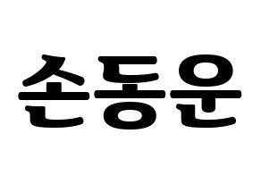 KPOP Highlight(하이라이트、ハイライト) 손동운 (ソン・ドンウン) コンサート用　応援ボード・うちわ　韓国語/ハングル文字型紙 通常