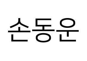 KPOP Highlight(하이라이트、ハイライト) 손동운 (ソン・ドンウン) プリント用応援ボード型紙、うちわ型紙　韓国語/ハングル文字型紙 通常