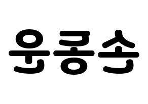 KPOP Highlight(하이라이트、ハイライト) 손동운 (ソン・ドンウン) 応援ボード・うちわ　韓国語/ハングル文字型紙 左右反転