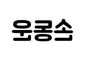 KPOP Highlight(하이라이트、ハイライト) 손동운 (ソン・ドンウン, ソン・ドンウン) 応援ボード、うちわ無料型紙、応援グッズ 左右反転