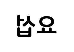 KPOP Highlight(하이라이트、ハイライト) 양요섭 (ヤン・ヨソプ, ヤン・ヨソプ) k-pop アイドル名前　ボード 言葉 左右反転