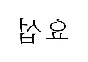 KPOP Highlight(하이라이트、ハイライト) 양요섭 (ヤン・ヨソプ) 応援ボード・うちわ　韓国語/ハングル文字型紙 左右反転