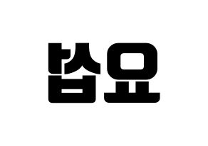 KPOP Highlight(하이라이트、ハイライト) 양요섭 (ヤン・ヨソプ) コンサート用　応援ボード・うちわ　韓国語/ハングル文字型紙 左右反転