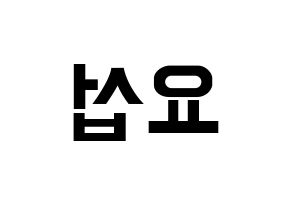 KPOP Highlight(하이라이트、ハイライト) 양요섭 (ヤン・ヨソプ) k-pop アイドル名前 ファンサボード 型紙 左右反転