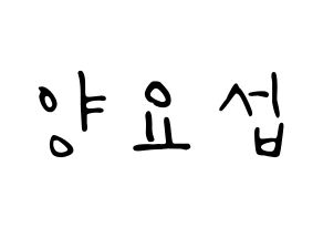 KPOP Highlight(하이라이트、ハイライト) 양요섭 (ヤン・ヨソプ) 応援ボード ハングル 型紙  通常