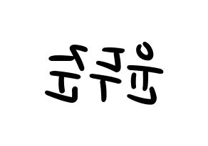 KPOP Highlight(하이라이트、ハイライト) 윤두준 (ユン・ドゥジュン) 応援ボード ハングル 型紙  左右反転