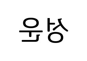 KPOP HOTSHOT(핫샷、ホットショット) 성운 (ソンウン) プリント用応援ボード型紙、うちわ型紙　韓国語/ハングル文字型紙 左右反転