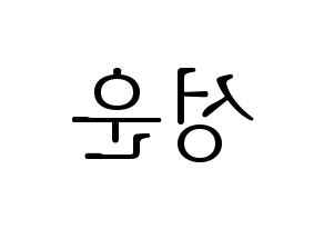 KPOP HOTSHOT(핫샷、ホットショット) 성운 (ソンウン) 応援ボード・うちわ　韓国語/ハングル文字型紙 左右反転