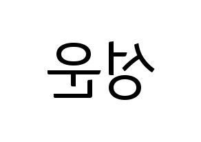 KPOP HOTSHOT(핫샷、ホットショット) 성운 (ソンウン) コンサート用　応援ボード・うちわ　韓国語/ハングル文字型紙 左右反転