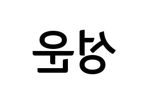 KPOP HOTSHOT(핫샷、ホットショット) 성운 (ソンウン) k-pop アイドル名前 ファンサボード 型紙 左右反転