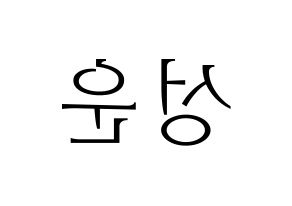KPOP HOTSHOT(핫샷、ホットショット) 성운 (ソンウン) 応援ボード・うちわ　韓国語/ハングル文字型紙 左右反転