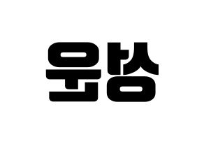 KPOP HOTSHOT(핫샷、ホットショット) 성운 (ソンウン) コンサート用　応援ボード・うちわ　韓国語/ハングル文字型紙 左右反転