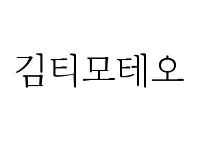 KPOP HOTSHOT(핫샷、ホットショット) 티모테오 (ティモテオ) 応援ボード・うちわ　韓国語/ハングル文字型紙 通常