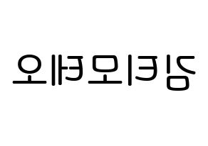 KPOP HOTSHOT(핫샷、ホットショット) 티모테오 (キム・ティモテオ, ティモテオ) 無料サイン会用、イベント会用応援ボード型紙 左右反転