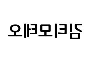 KPOP HOTSHOT(핫샷、ホットショット) 티모테오 (キム・ティモテオ, ティモテオ) k-pop アイドル名前　ボード 言葉 左右反転