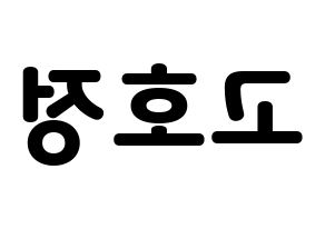 KPOP HOTSHOT(핫샷、ホットショット) 호정 (ホジョン) 応援ボード・うちわ　韓国語/ハングル文字型紙 左右反転