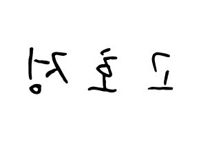 KPOP HOTSHOT(핫샷、ホットショット) 호정 (コ・ホジョン, ホジョン) k-pop アイドル名前　ボード 言葉 左右反転