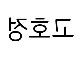 KPOP HOTSHOT(핫샷、ホットショット) 호정 (ホジョン) コンサート用　応援ボード・うちわ　韓国語/ハングル文字型紙 左右反転
