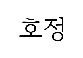 KPOP HOTSHOT(핫샷、ホットショット) 호정 (ホジョン) 応援ボード・うちわ　韓国語/ハングル文字型紙 通常