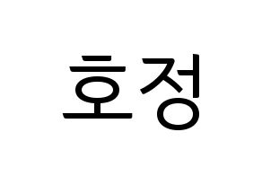 KPOP HOTSHOT(핫샷、ホットショット) 호정 (ホジョン) コンサート用　応援ボード・うちわ　韓国語/ハングル文字型紙 通常