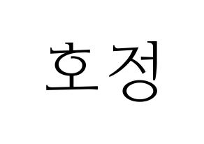 KPOP HOTSHOT(핫샷、ホットショット) 호정 (ホジョン) 応援ボード・うちわ　韓国語/ハングル文字型紙 通常