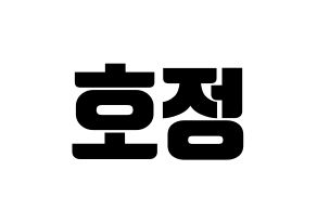 KPOP HOTSHOT(핫샷、ホットショット) 호정 (ホジョン) コンサート用　応援ボード・うちわ　韓国語/ハングル文字型紙 通常