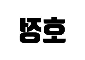 KPOP HOTSHOT(핫샷、ホットショット) 호정 (ホジョン) コンサート用　応援ボード・うちわ　韓国語/ハングル文字型紙 左右反転