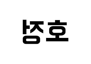 KPOP HOTSHOT(핫샷、ホットショット) 호정 (ホジョン) k-pop アイドル名前 ファンサボード 型紙 左右反転