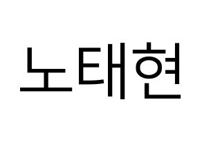 KPOP HOTSHOT(핫샷、ホットショット) 태현 (KID MONSTER) プリント用応援ボード型紙、うちわ型紙　韓国語/ハングル文字型紙 通常
