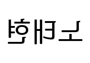 KPOP HOTSHOT(핫샷、ホットショット) 태현 (KID MONSTER) プリント用応援ボード型紙、うちわ型紙　韓国語/ハングル文字型紙 左右反転