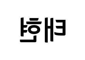 KPOP HOTSHOT(핫샷、ホットショット) 태현 (KID MONSTER) k-pop アイドル名前 ファンサボード 型紙 左右反転