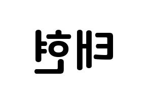 KPOP HOTSHOT(핫샷、ホットショット) 태현 (ノ・テヒョン, KID MONSTER) k-pop アイドル名前　ボード 言葉 左右反転