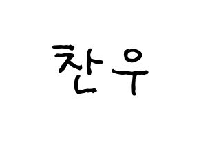 KPOP iKON(아이콘、アイコン) 정찬우 (CHAN) k-pop アイドル名前 ファンサボード 型紙 通常