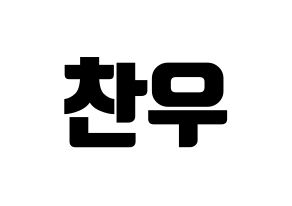 KPOP iKON(아이콘、アイコン) 정찬우 (CHAN) コンサート用　応援ボード・うちわ　韓国語/ハングル文字型紙 通常