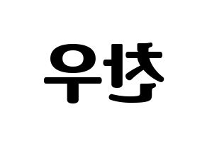 KPOP iKON(아이콘、アイコン) 정찬우 (CHAN) コンサート用　応援ボード・うちわ　韓国語/ハングル文字型紙 左右反転