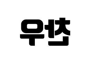 KPOP iKON(아이콘、アイコン) 정찬우 (CHAN) コンサート用　応援ボード・うちわ　韓国語/ハングル文字型紙 左右反転